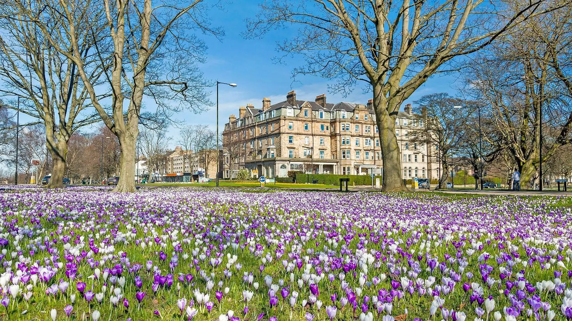 بيت للعطل فيلا Westfield Stables Green Hammerton